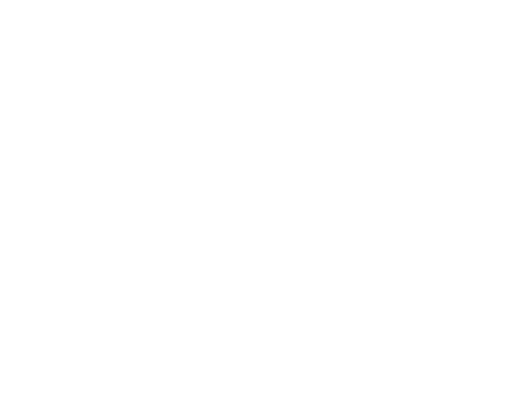 Busa Pista